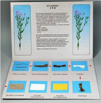 Коллекция - Шелк для начальной школы