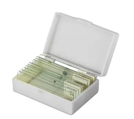 Микропрепараты 5 образцов+5 предметных стёкол (стекло)