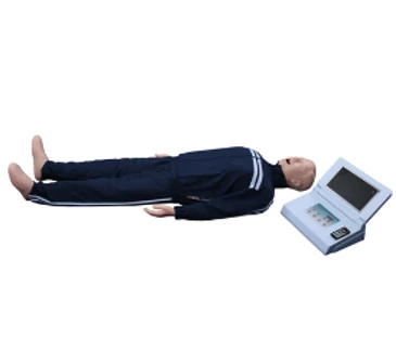 Анатомический муляж XC-406-5 PLUS:uz:Xc-406-5 PLUS anatomik qo'g'irchoq