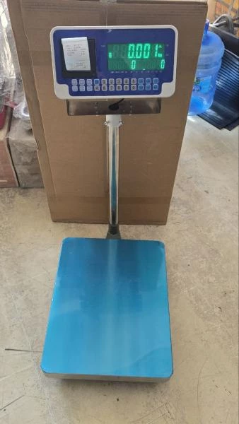 BWSS 100K5 Напольные весы влагостойкие из нерж. стали 304