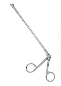 Конхотом со  щелевидным отверстием:uz:Yoriqli teshikli konchotom