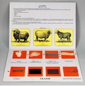 Коллекция - шерсть для начальной школы