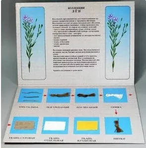 Коллекция - лен для начальной школы