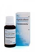 GINEKOXEL tomchilar 30ml