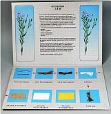 Коллекция - Шелк для начальной школы