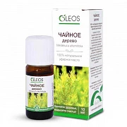 CHOY DARAXTI efir moyi 10 ml