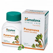 Punarnava Himoloy, buyraklar uchun