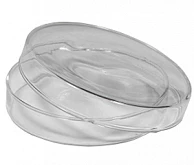 Чашка Петри :uz:Petri idishi