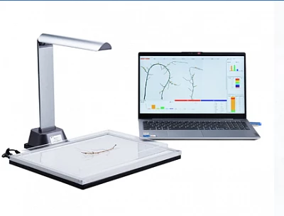 Сканер корней растений