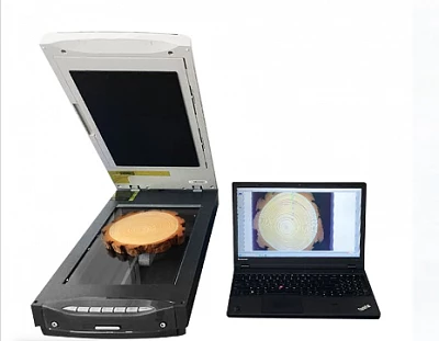 Система анализа кольцевых изображений