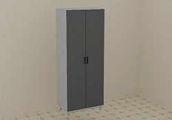 Laboratoriya shkafi 800*600*2000 mm, 1-model