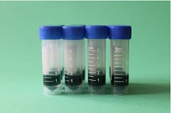 Тест на БГКП (колиформные бактерии в т.ч. Escherichia coli)