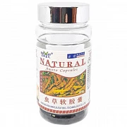 Cordyceps kapsulalari 