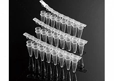Пробирки 0,2 мл в стрипах по 8 шт PCRW-02D