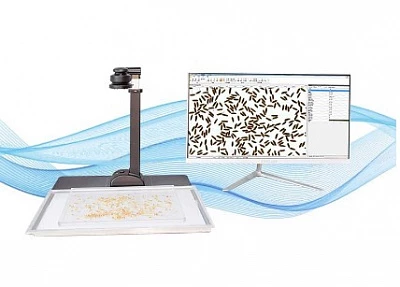 Интеллектуальный анализатор тестового типа