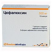 SEFALEKSIN 0,5 kapsulalar  N16