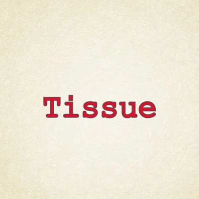 Бумага для полотенца Tissue 45гр 168ф