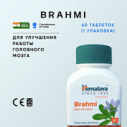 Brahmi Himalaya (Brahmi Himalaya) miya faoliyatini yaxshilash uchun xun takviyesi