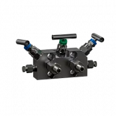 Блоки вентильные БВ для безопасного монтажа/демонтажа датчиков, преобразователей давления:1012117