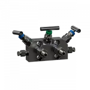 Блоки вентильные БВ для безопасного монтажа/демонтажа датчиков, преобразователей давления:1012117