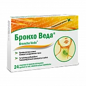 BRONXO VEDA ledensi so vkusom apelsina N24