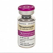 STREPTOMISIN poroshok 1g N1