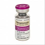 STREPTOMISIN poroshok 1g N1