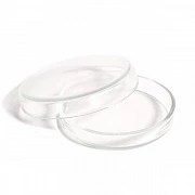 Чашки Петри (стеклянные) 100x20мм