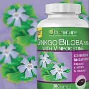 Ginkgo Biloba